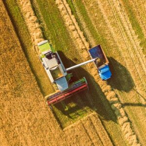 Harvester in a field depositing material in a dump truck