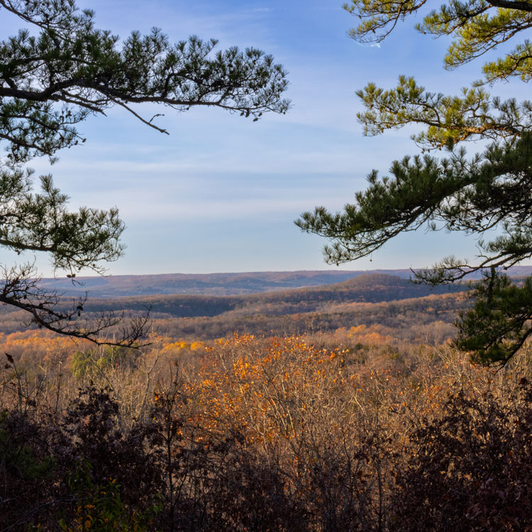 Hilltop view of forests during the autumn as leaves change colors