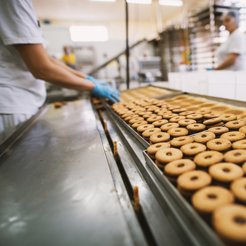 Cookie sandwiches being inspected in a food and beverage manufacturing facility