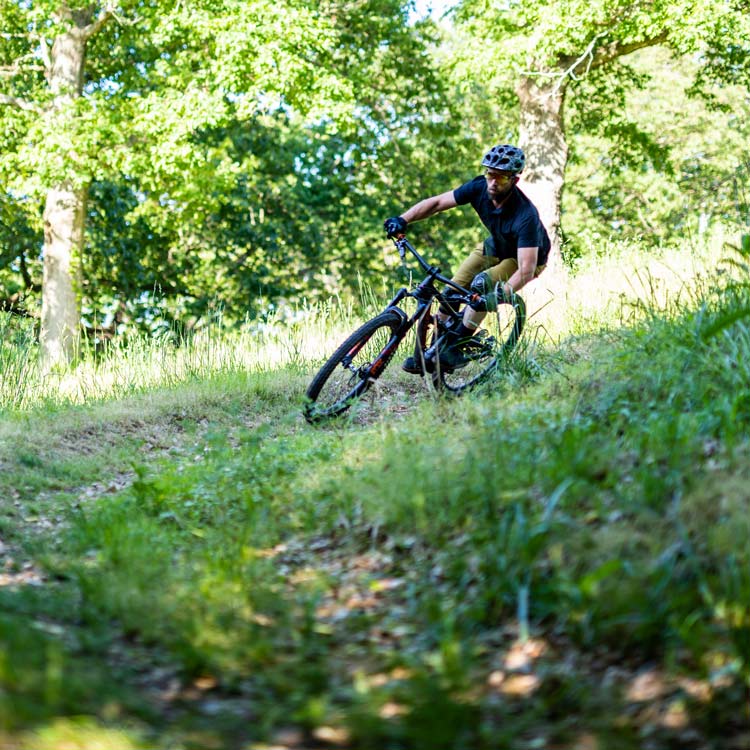 Mountain biker riding on a trail